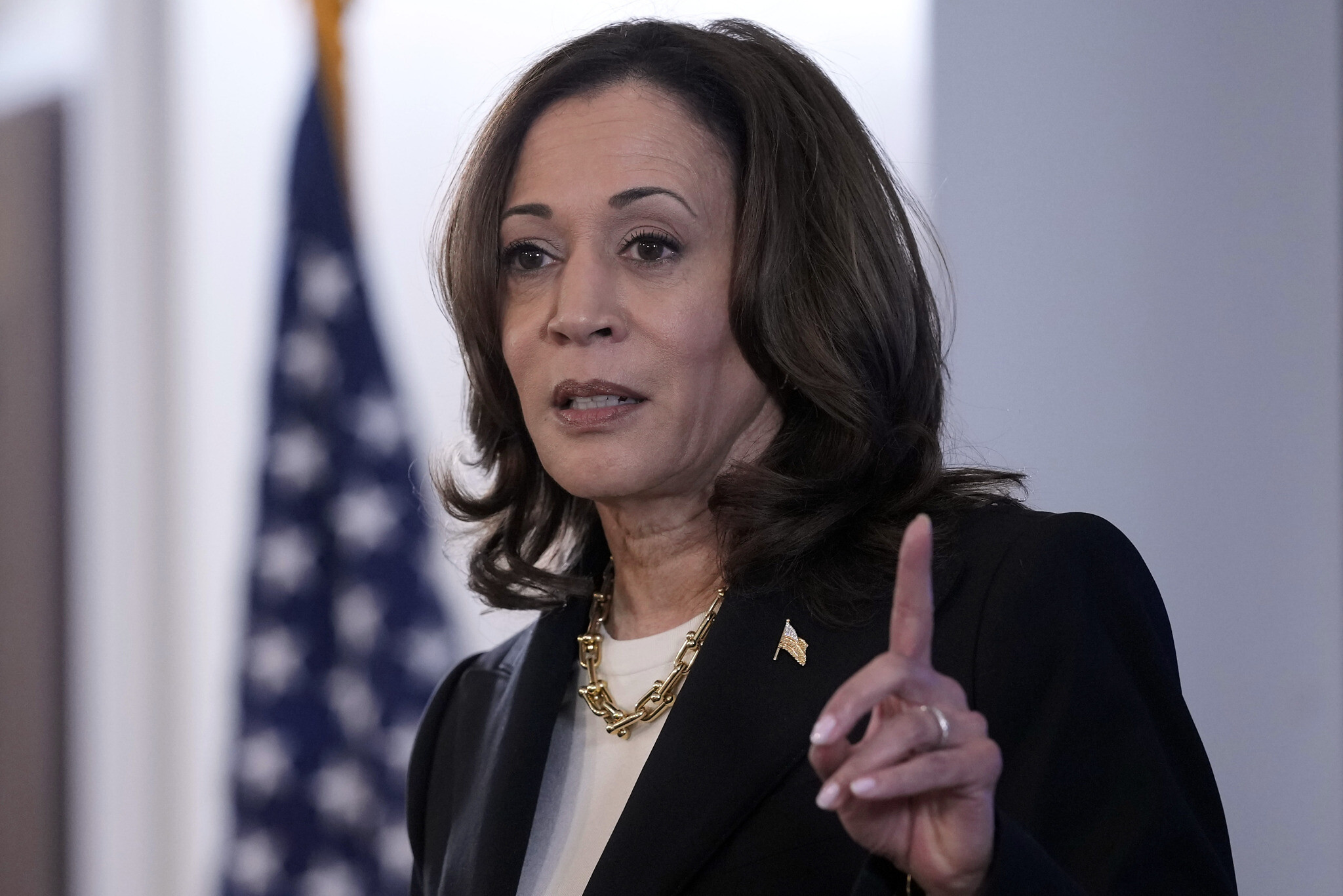 Democrats start to rally around Harris after Biden’s exit